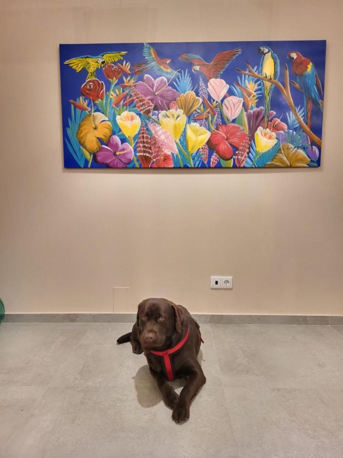 Alvaredo Casa Do Alambique 빌라 외부 사진